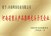 河南省重點產(chǎn)品集群龍頭示范企業(yè)